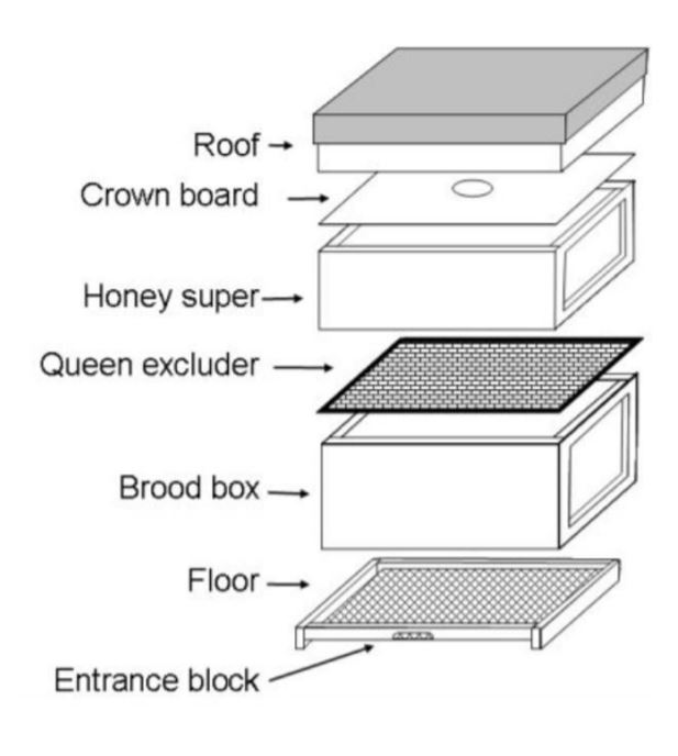 beehive layout